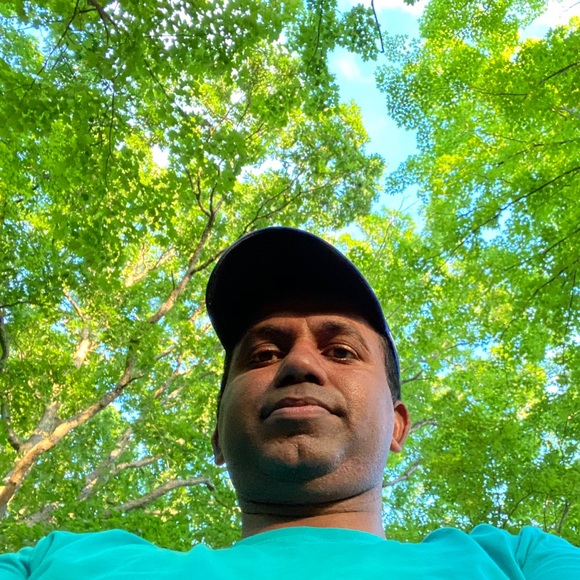 Meet your Posher, Sybin - Picture 1 of 1